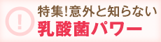 特集　意外と知らない？乳酸菌パワー